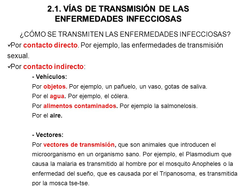 el cólera es una enfermedad transmitida por el aire